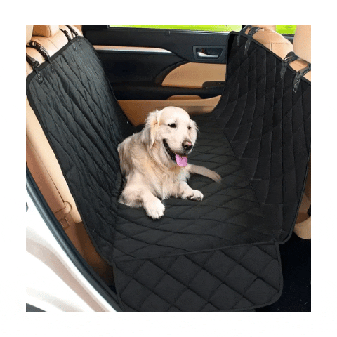 PROTECTOR PARA SILLAS DEL AUTO 5/5 – protectivecloth